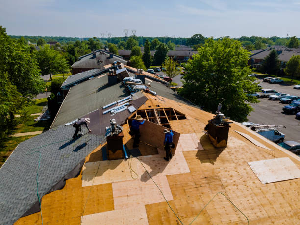 Quick and Trustworthy Emergency Roof Repair Services in San Leandro, CA