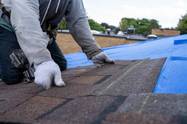 Best New Roof Installation  in San Leandro, CA