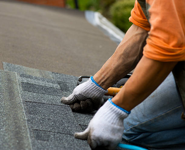 Best Roof Gutter Cleaning  in San Leandro, CA